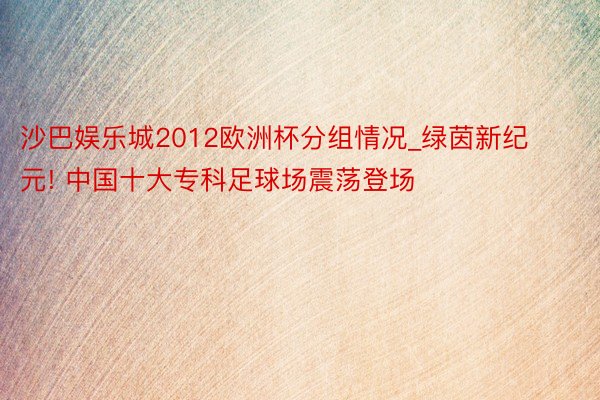 沙巴娱乐城2012欧洲杯分组情况_绿茵新纪元! 中国十大专科足球场震荡登场