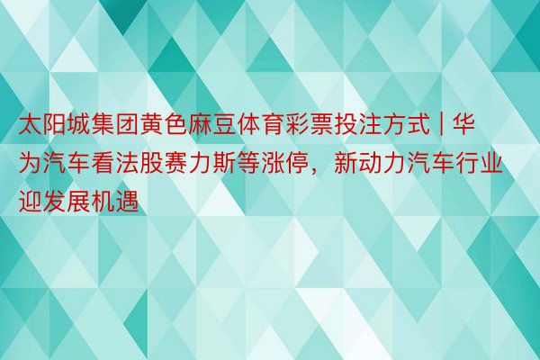 太阳城集团黄色麻豆体育彩票投注方式 | 华为汽车看法股赛力斯等涨停，新动力汽车行业迎发展机遇